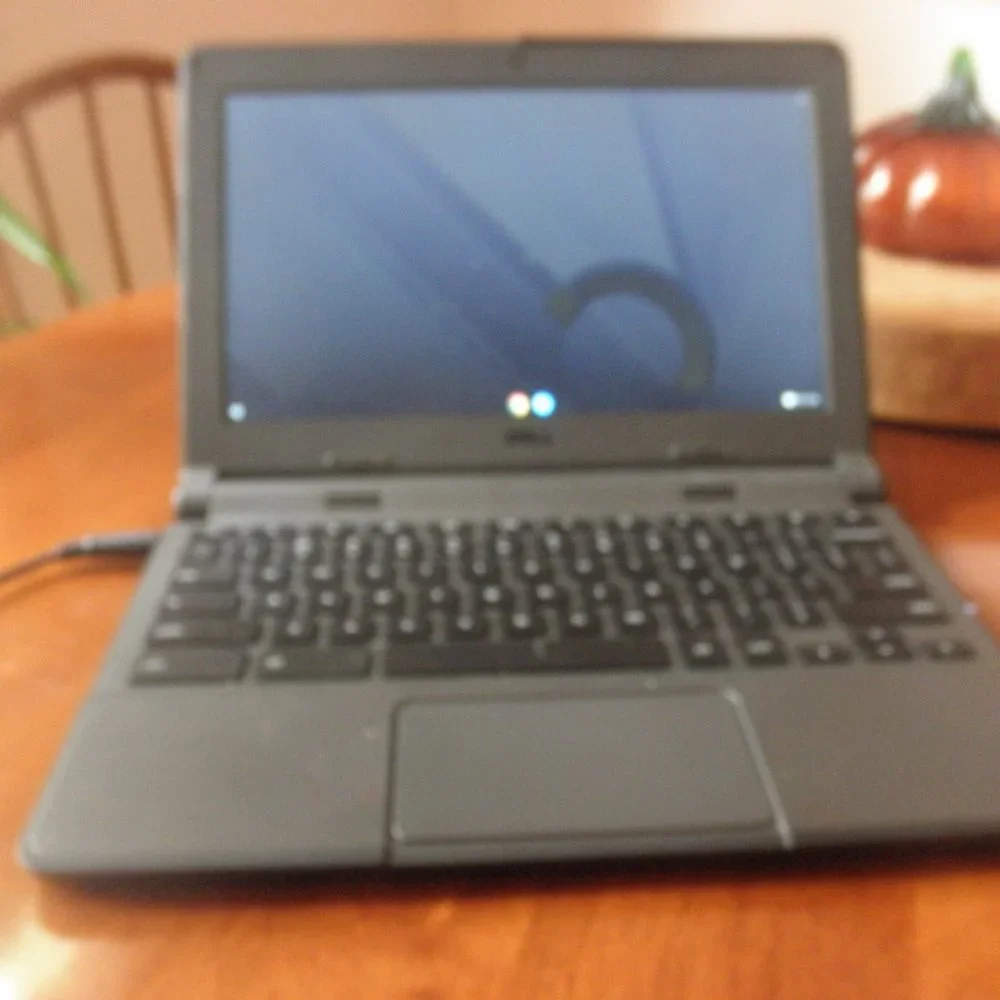 1 - Dell laptop
